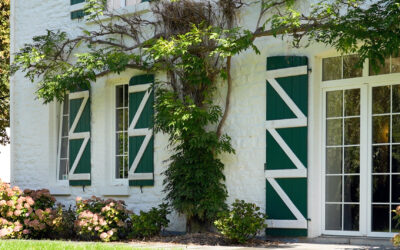 Mise au vert entre entrepreneurs – 18 juin 2026